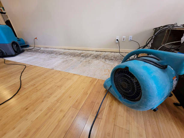 Professional Water Damage Repair technician working in Twisp, WA